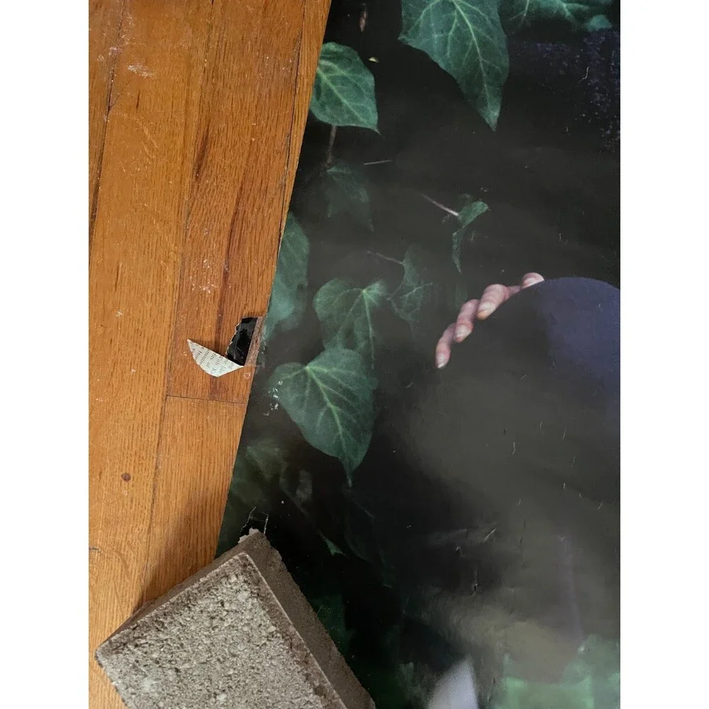 Vintage Buffy The Vampire Slayer Poster Buffy in Ivy Sarah Michelle Gellar 1998